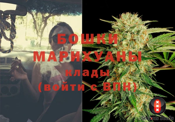 шишки Алексеевка