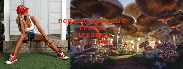 шишки Алексеевка
