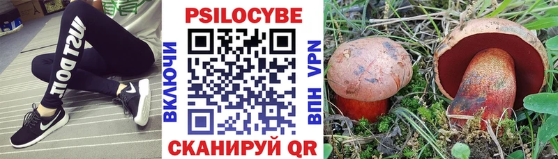 купить наркотики цена  Ессентукская  Псилоцибиновые грибы Magic Shrooms 